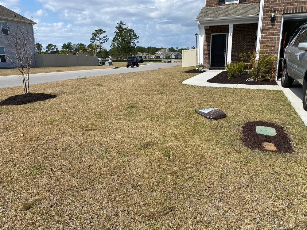 Trusted yard cleanup service in Darlington, SC - Evans Lawn Service