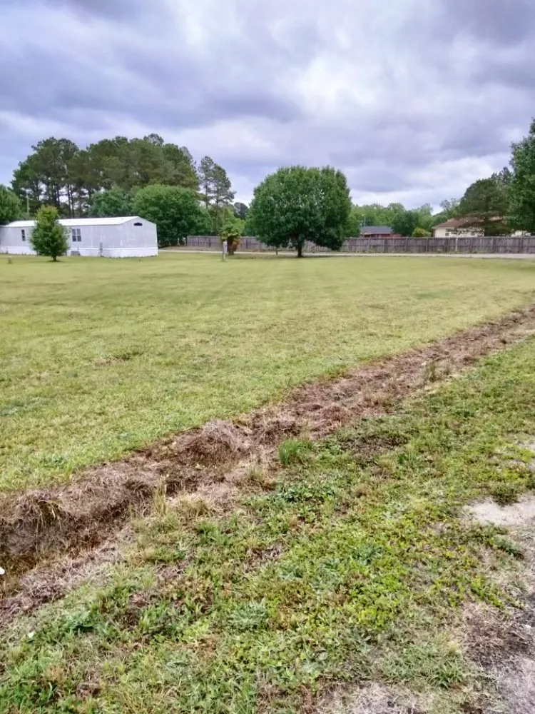 Top-rated landscaping services in Darlington, SC - Evans Lawn Service