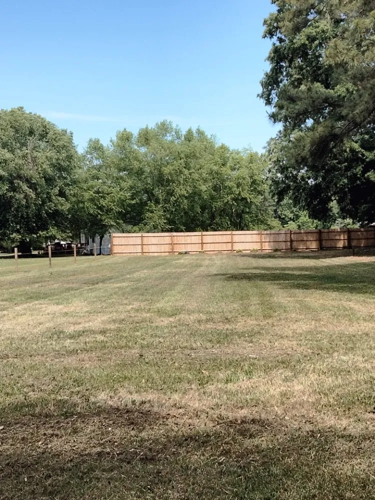 Trusted yard cleanup service in Darlington, SC by Evans Lawn Service