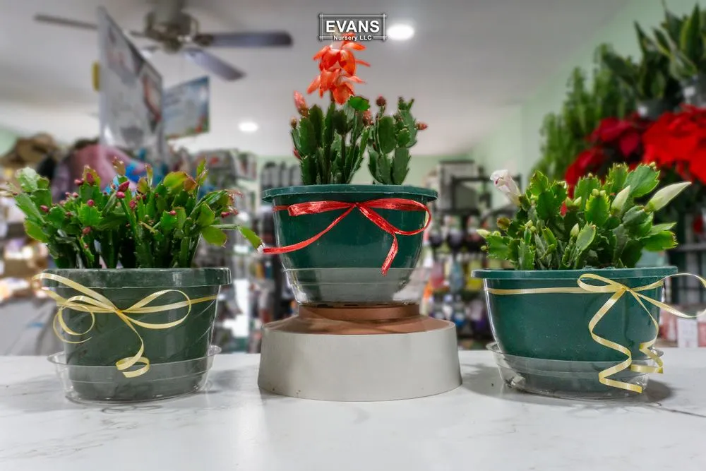 Top-rated landscape installation for beautiful yards in Bartlesville, OK by Evans Nursery