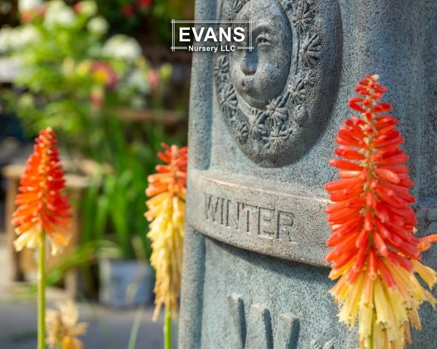 Expert landscape design for beautiful yards in Bartlesville, OK by Evans Nursery