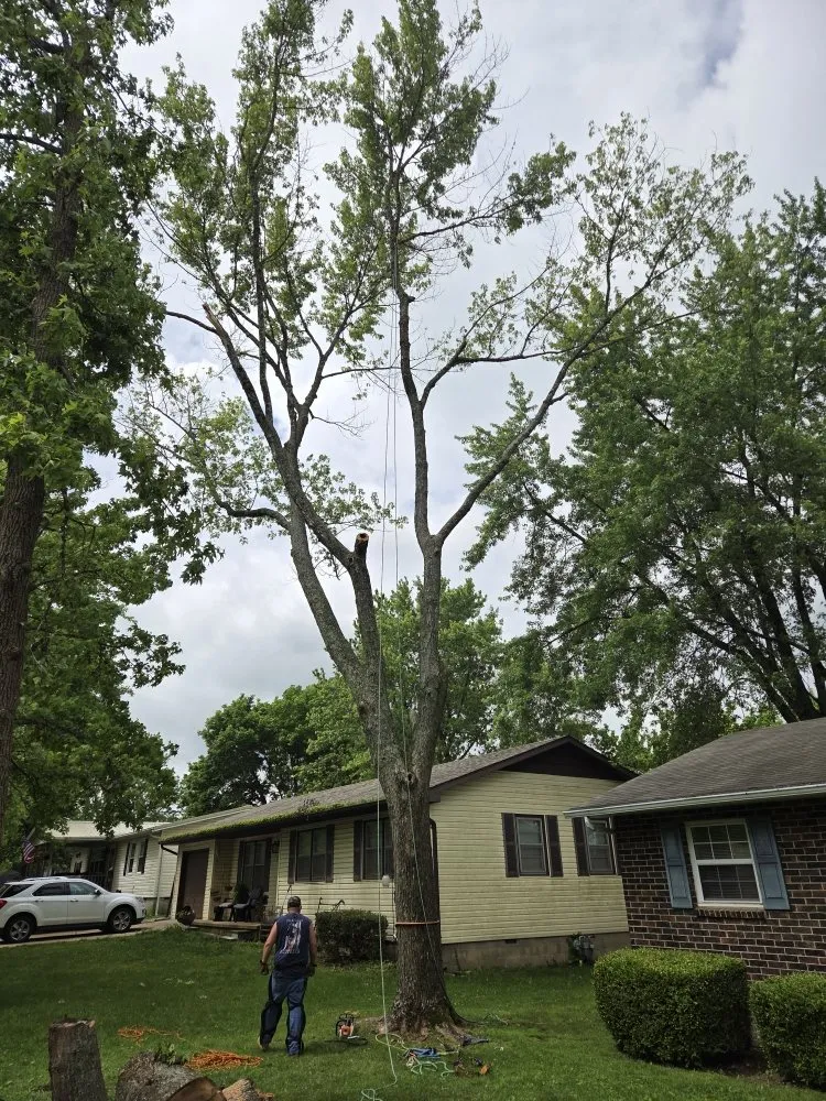 Affordable landscape installation experts serving Mansfield, MO - Evans Outdoor Solutions