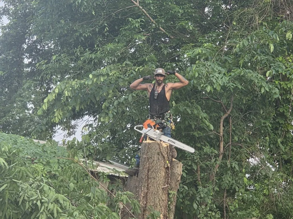 Custom outdoor landscaping in Mansfield, MO by Evans Outdoor Solutions