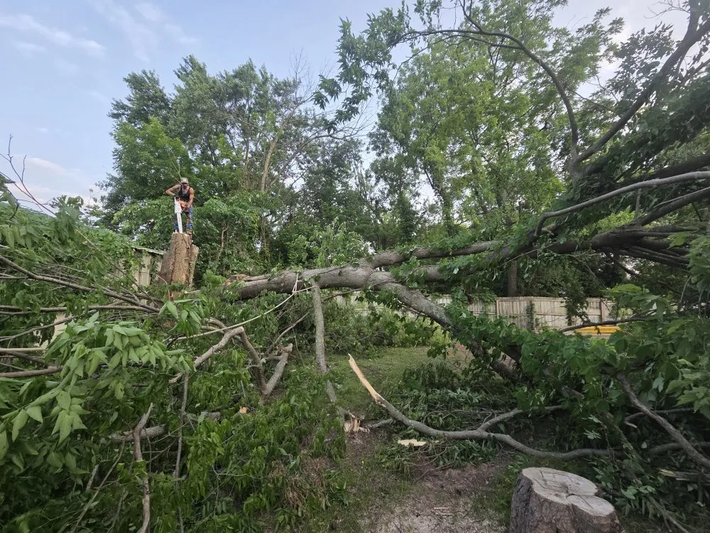 Reliable yard maintenance for year-round maintenance across Mansfield, MO - Evans Outdoor Solutions