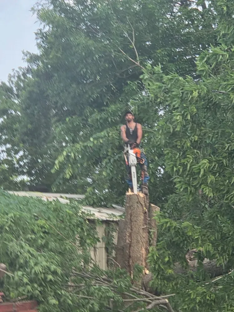 Expert lawn mowing service experts serving Mansfield, MO - Evans Outdoor Solutions