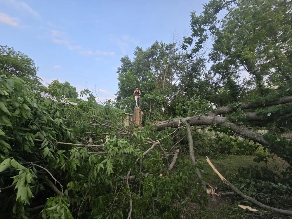 Top-rated yard maintenance experts serving Mansfield, MO - Evans Outdoor Solutions