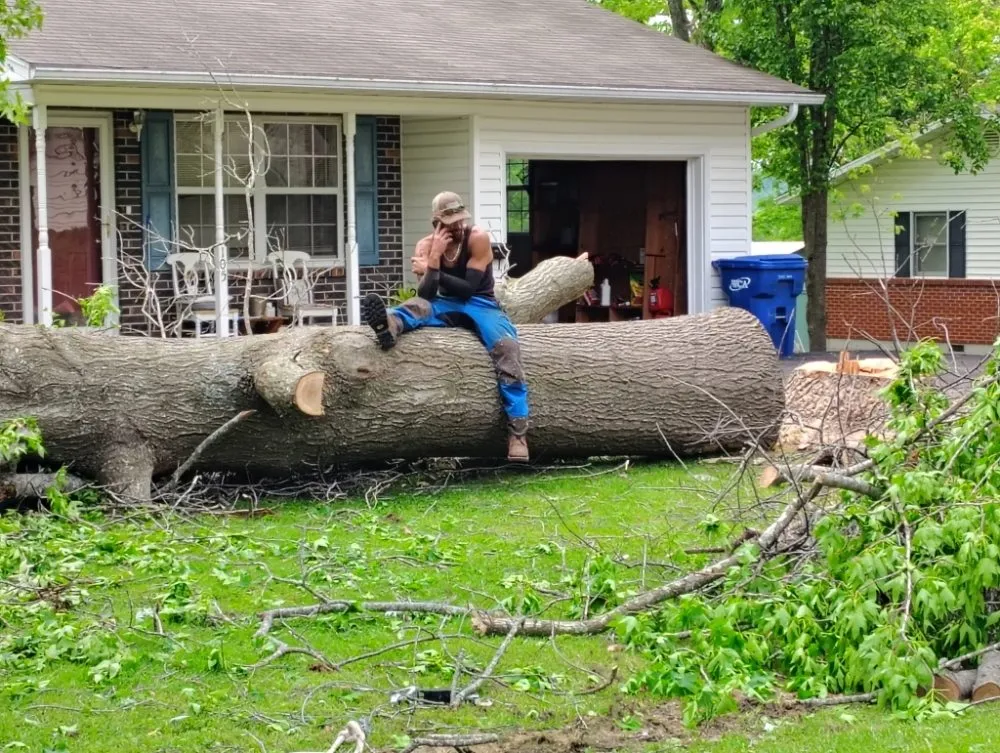 Expert landscape design in Mansfield, MO - Evans Outdoor Solutions