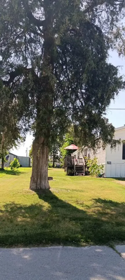 Expert yard cleanup service in Nixa, MO by Evans Push Mowing