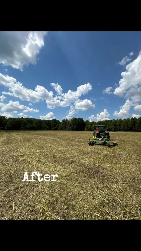 Custom landscaping services in Yazoo City, MS - Evans Tractor Service