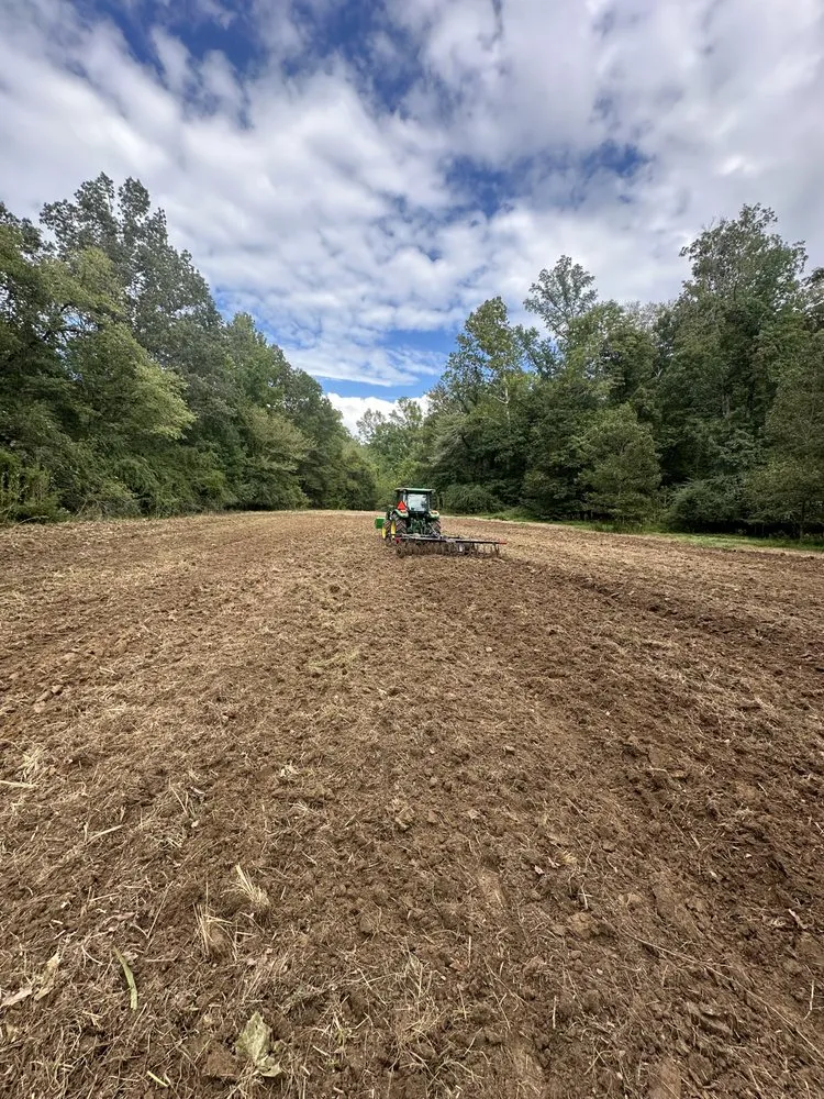 Local yard cleanup service in Yazoo City, MS - Evans Tractor Service