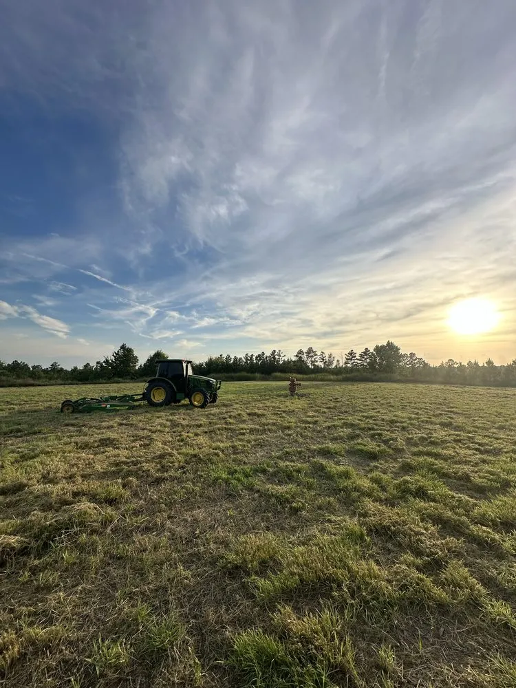 Reliable yard maintenance for homes in Yazoo City, MS by Evans Tractor Service