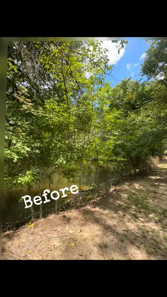 Top-rated yard cleanup service near you in Yazoo City, MS by Evans Tractor Service