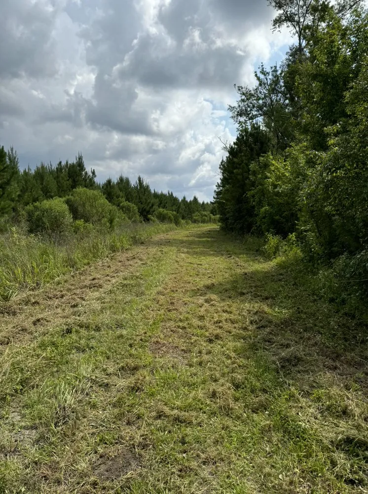 Local lawn mowing service in Summerville, SC - Evans Tractor Services