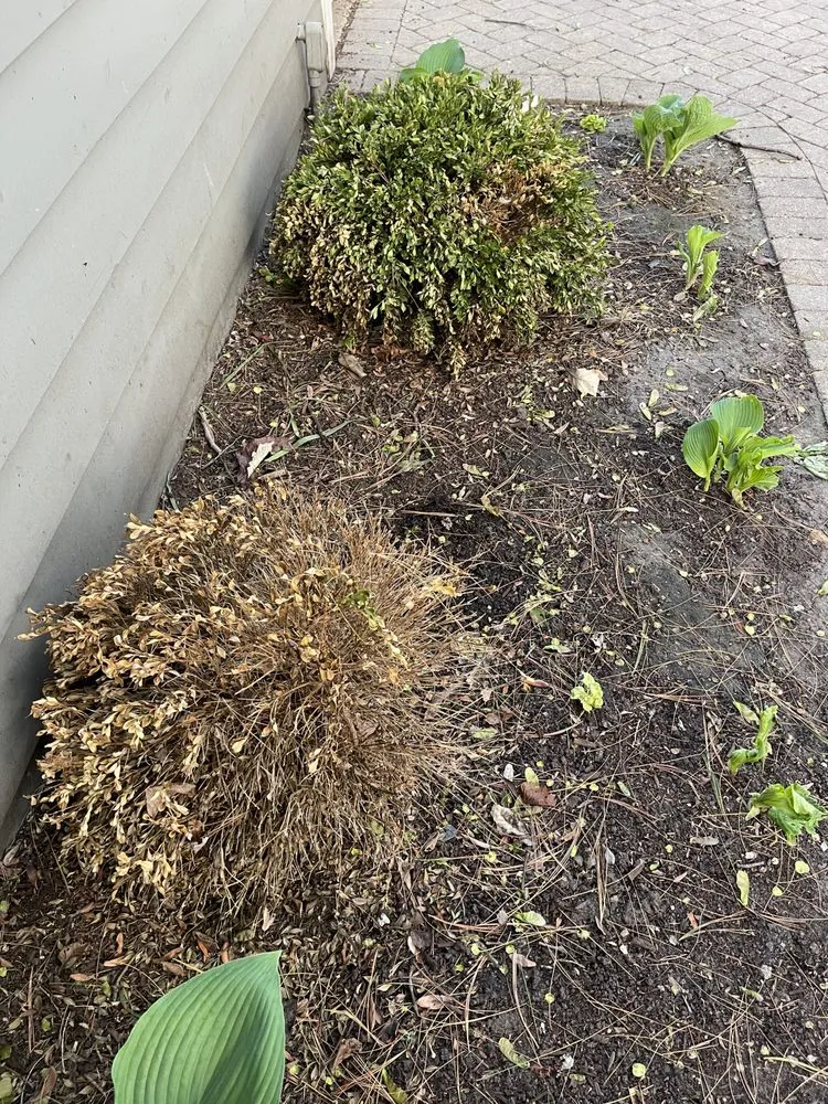 Affordable landscape installation for year-round maintenance across Evanston, IL - Evanston Landscaping