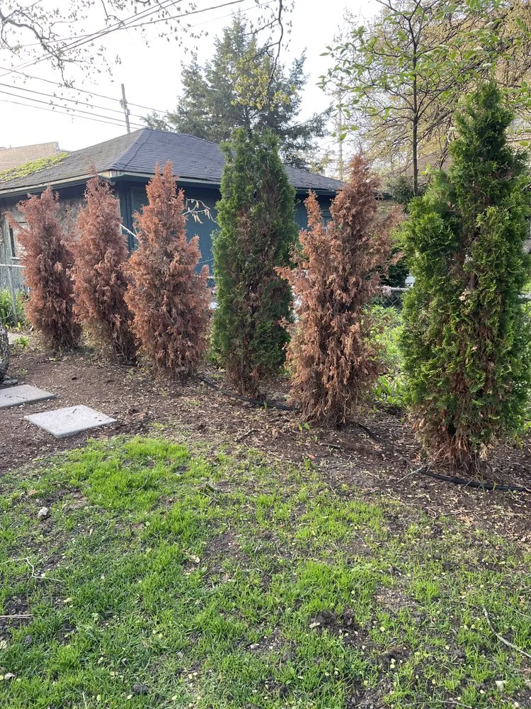 Professional landscape installation in Evanston, IL by Evanston Landscaping