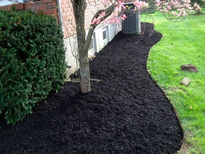 Top-rated landscaping services for homes across Evanston, IL - Evanston Landscaping