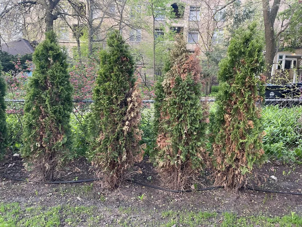 Expert landscape design with custom design in Evanston, IL by Evanston Landscaping