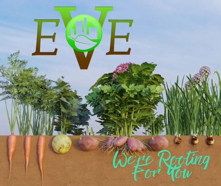 Custom landscape installation for year-round maintenance in Evanston, IN by Evanston Valley Enterprises