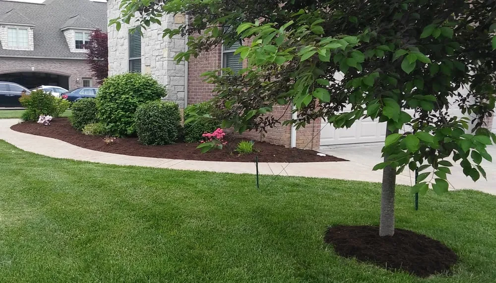 Trusted yard cleanup service experts serving Evansville, IN - Evansville Lawn & Landscape