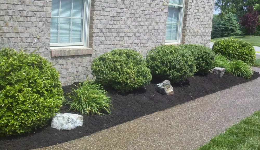 Reliable landscaping services near you in Evansville, IN by Evansville Lawn & Landscape