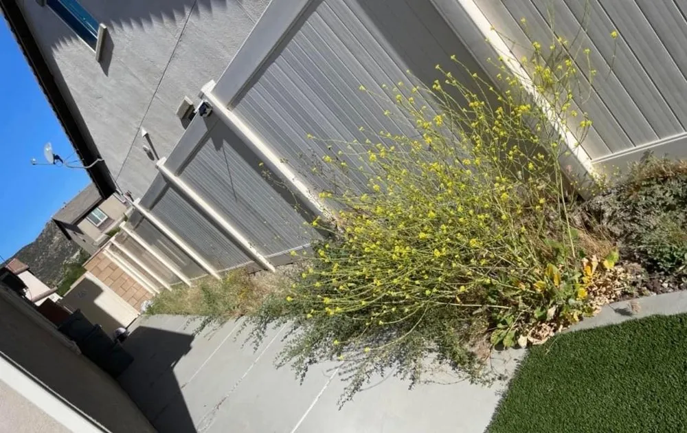 Top-rated landscaping services for residential properties in Perris, CA by Evaristo Landscape