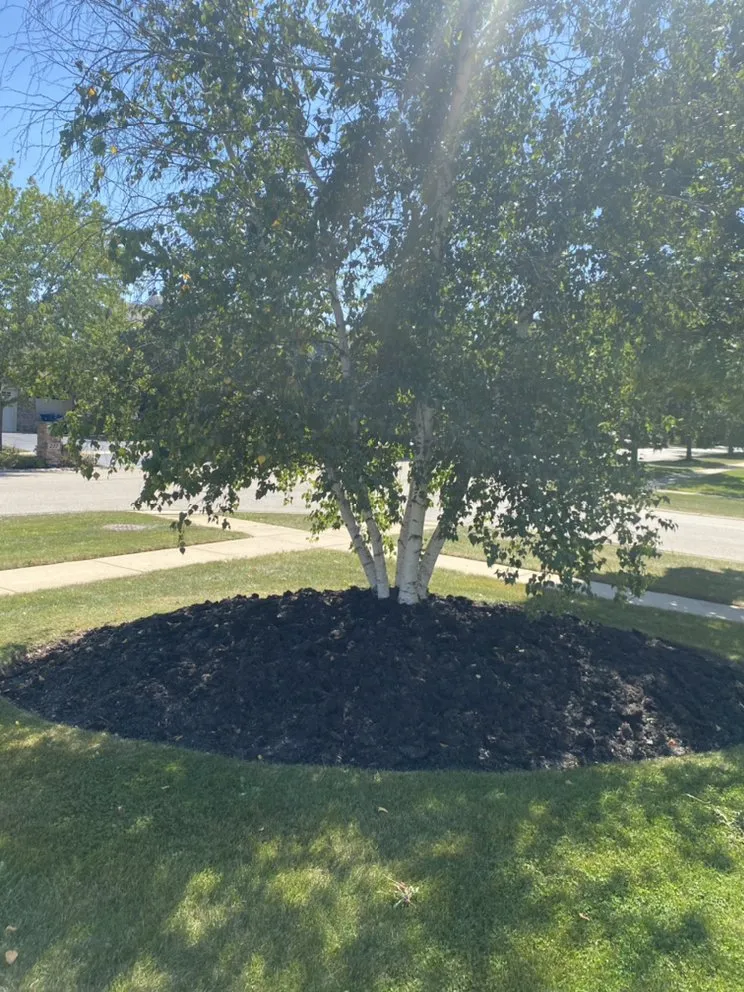 Reliable yard maintenance with custom design in Elgin, IL by Evaristo Landscape Services