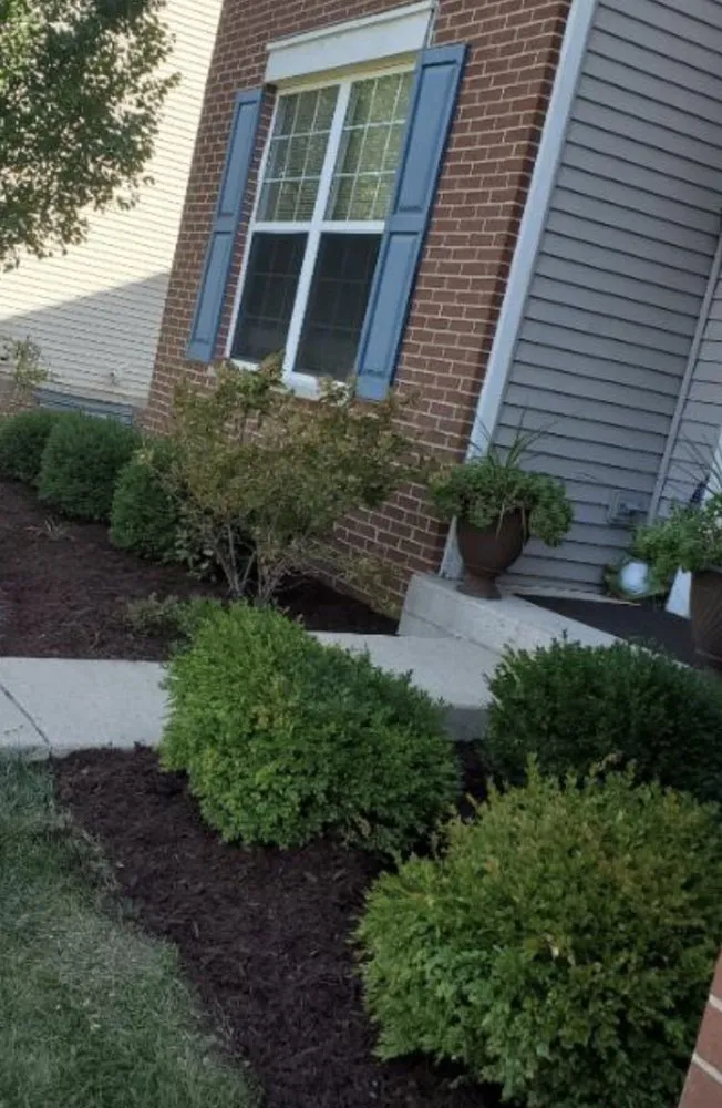 Expert landscape installation for outdoor upgrades across Elgin, IL - Evaristo Landscape Services