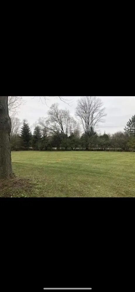 Local yard maintenance experts serving Elgin, IL - Evaristo Landscape Services