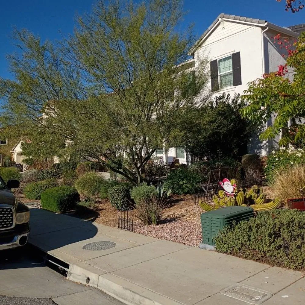 Top-rated residential landscaping with custom design in Menifee, CA by Evaristo Landscaping & Gardening Services