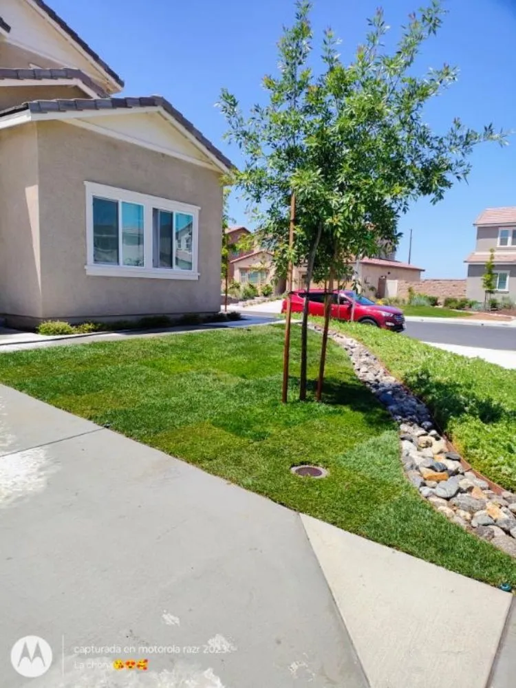 Top-rated residential landscaping in Menifee, CA by Evaristo Landscaping & Gardening Services