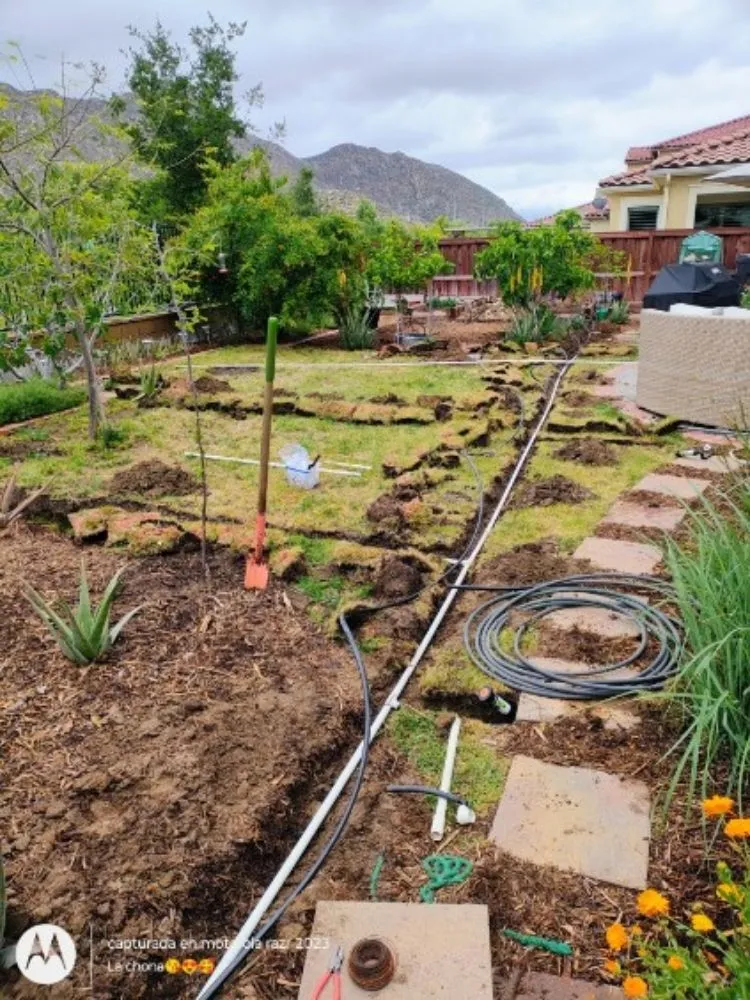 Top-rated outdoor landscaping for beautiful yards across Menifee, CA - Evaristo Landscaping & Gardening Services