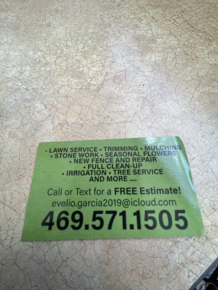 Expert yard maintenance for outdoor upgrades in Dallas, TX by Evelio Lawn and Landscape