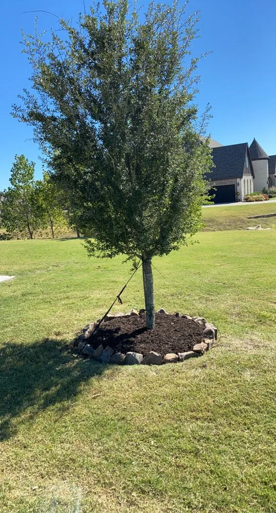 Top-rated landscape design in Dallas, TX - Evelio Lawn and Landscape