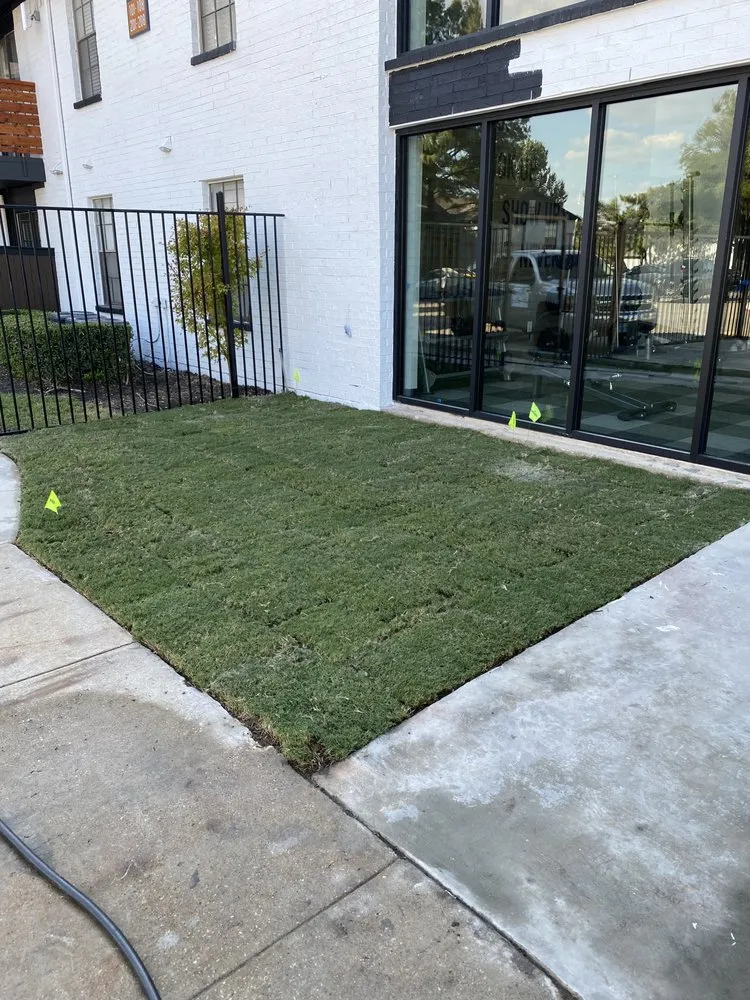 Local landscape installation in Dallas, TX - Evelio Lawn and Landscape