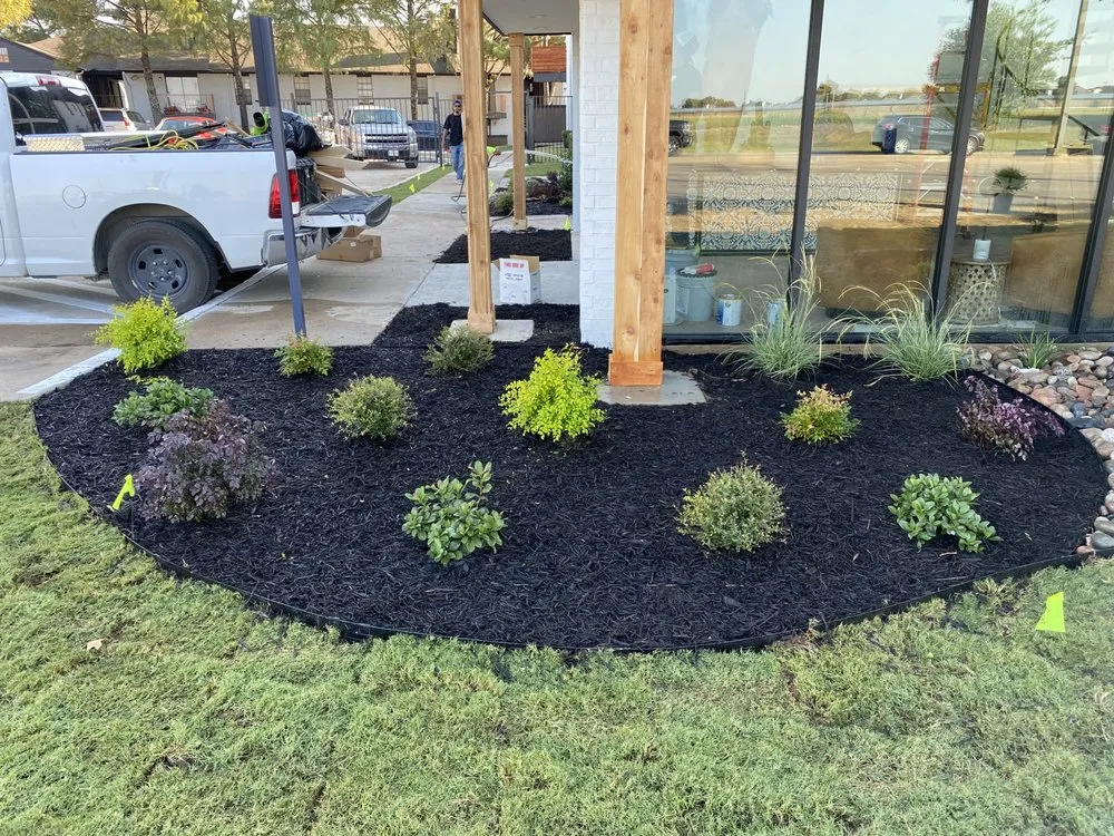 Professional landscape installation in Dallas, TX by Evelio Lawn and Landscape