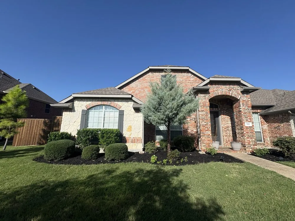 Trusted yard cleanup service in Dallas, TX by Evelio Lawn and Landscape