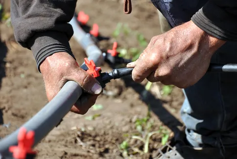 Custom lawn mowing service for beautiful yards in Irving, TX by Evelyn Landscaping