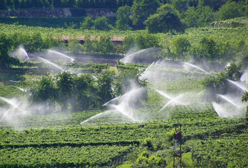 Professional landscape installation for year-round maintenance across Irving, TX - Evelyn Landscaping