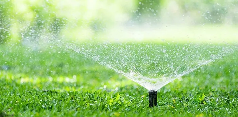 Trusted outdoor landscaping near you in Irving, TX by Evelyn Landscaping