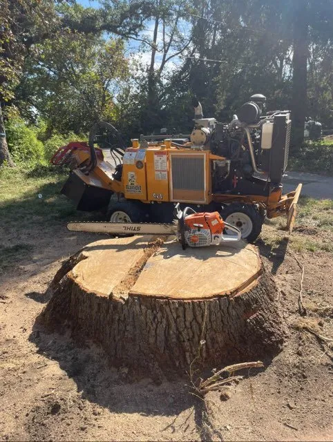 Professional yard cleanup service experts serving Des Moines, IA - Even Enterprise
