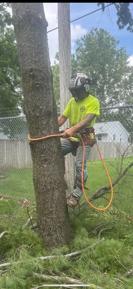 Expert landscaping services for beautiful yards in Des Moines, IA by Even Enterprise