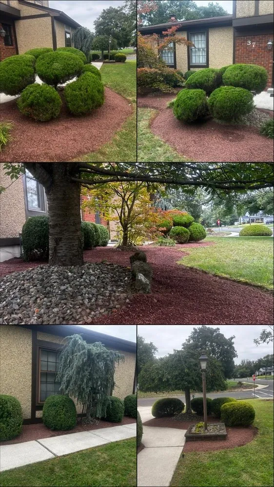 Affordable landscape design for residential properties in Hamilton, NJ by Ever & C Landscaping Services