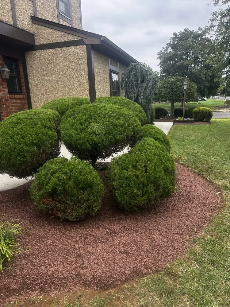 Trusted yard maintenance in Hamilton, NJ by Ever & C Landscaping Services