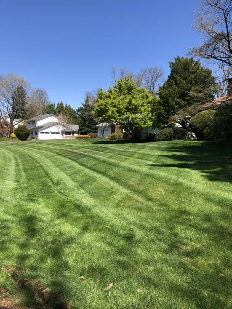 Trusted landscaping services for beautiful yards across Hamilton, NJ - Ever & C Landscaping Services