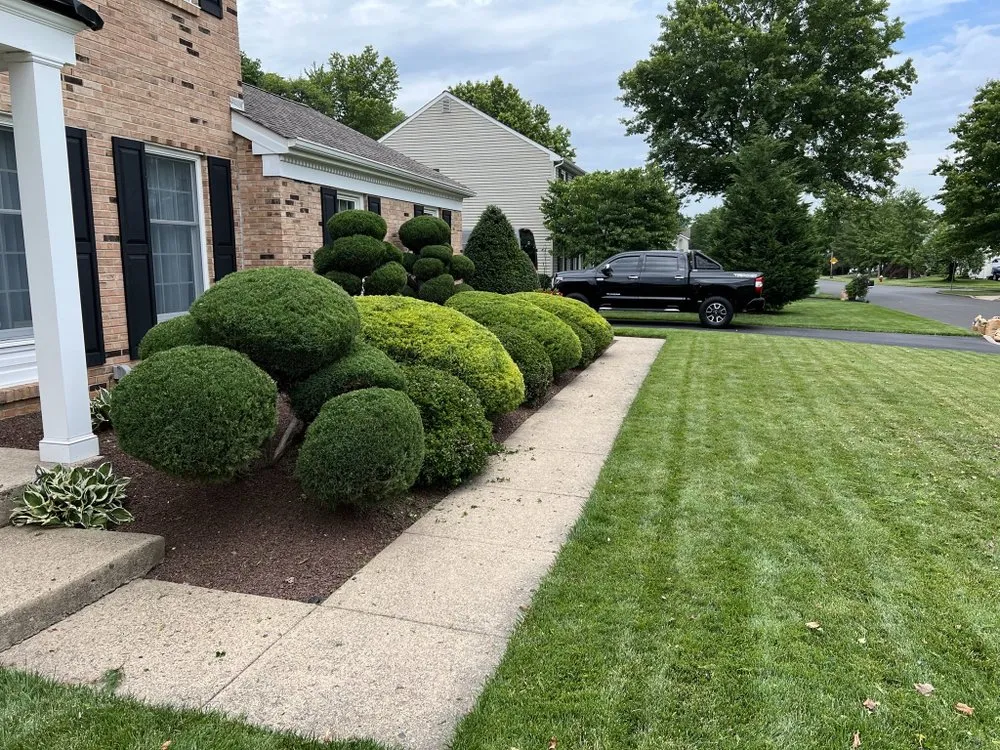 Affordable yard maintenance experts serving Hamilton, NJ - Ever & C Landscaping Services