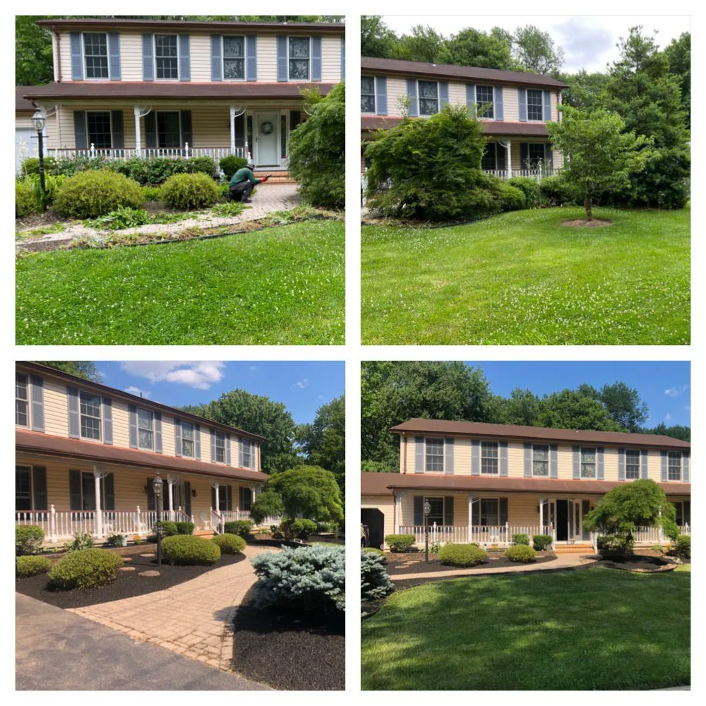Expert yard cleanup service for residential properties in Hamilton, NJ by Ever & C Landscaping Services