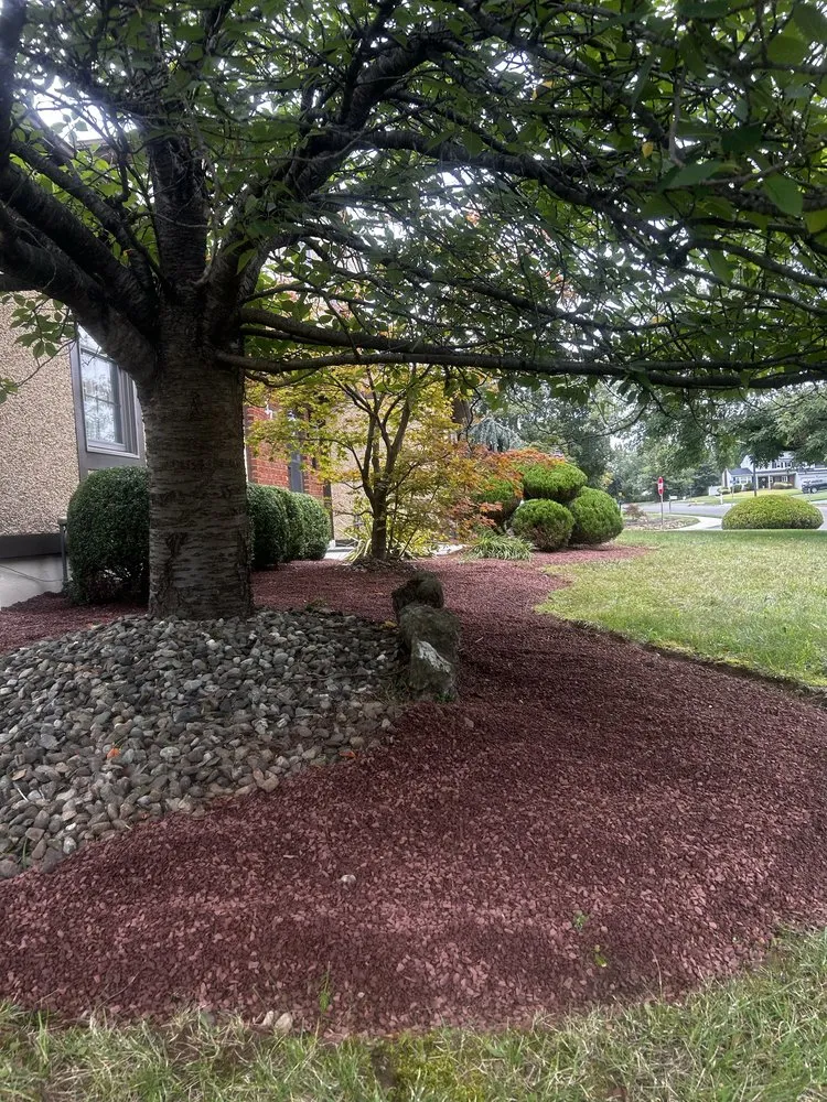 Local yard maintenance for outdoor upgrades in Hamilton, NJ by Ever & C Landscaping Services