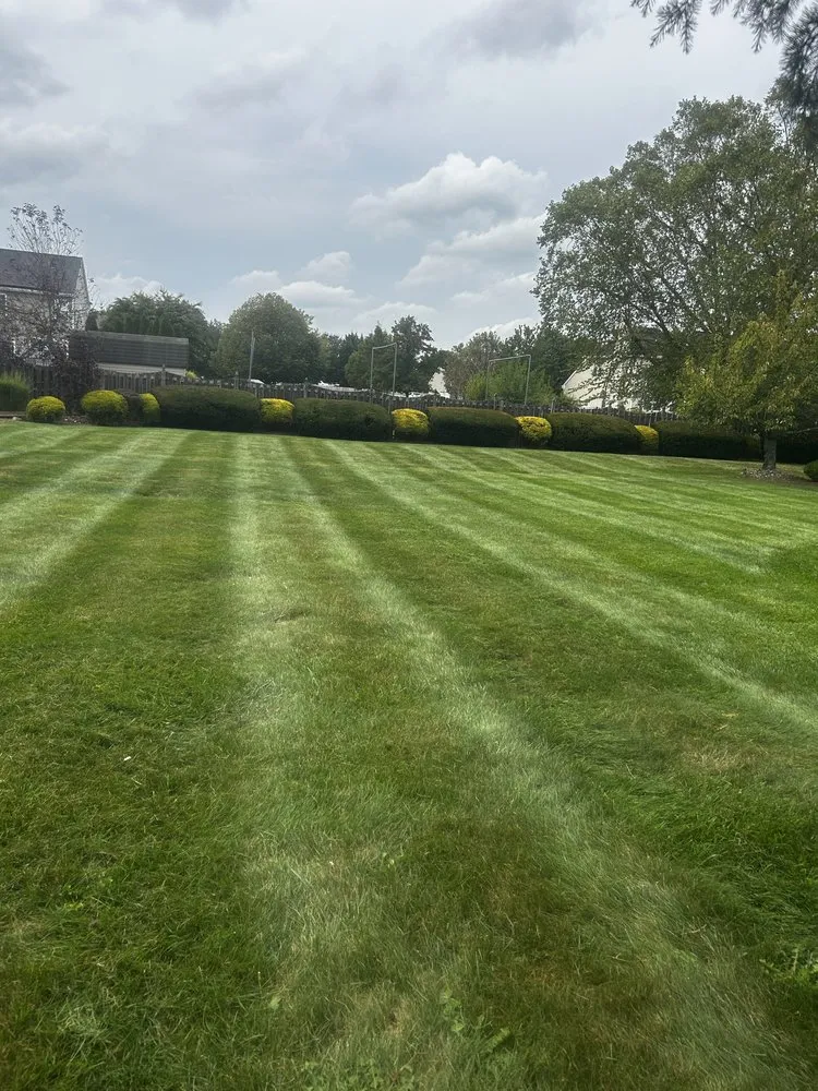 Local yard cleanup service for outdoor upgrades across Hamilton, NJ - Ever & C Landscaping Services