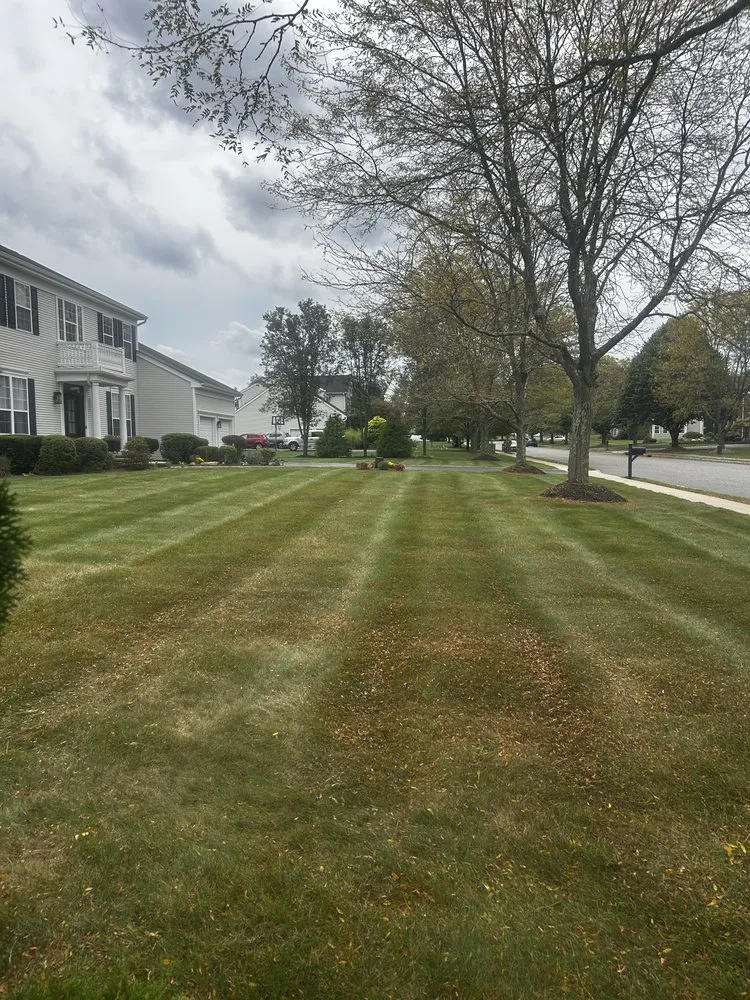 Reliable landscaping services in Hamilton, NJ - Ever & C Landscaping Services