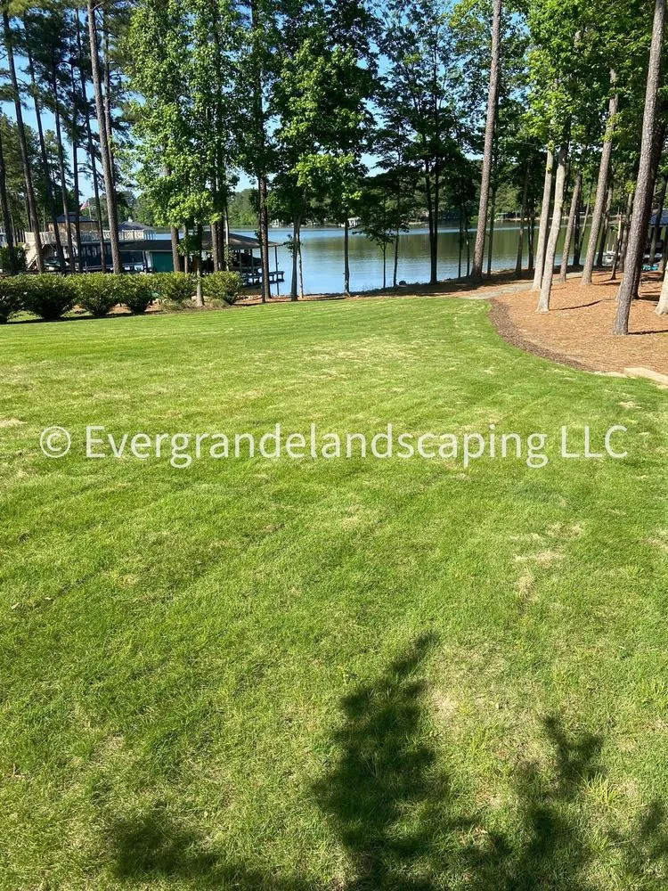 Affordable landscape design for year-round maintenance in Wilson, NC by Ever Grande Landscaping